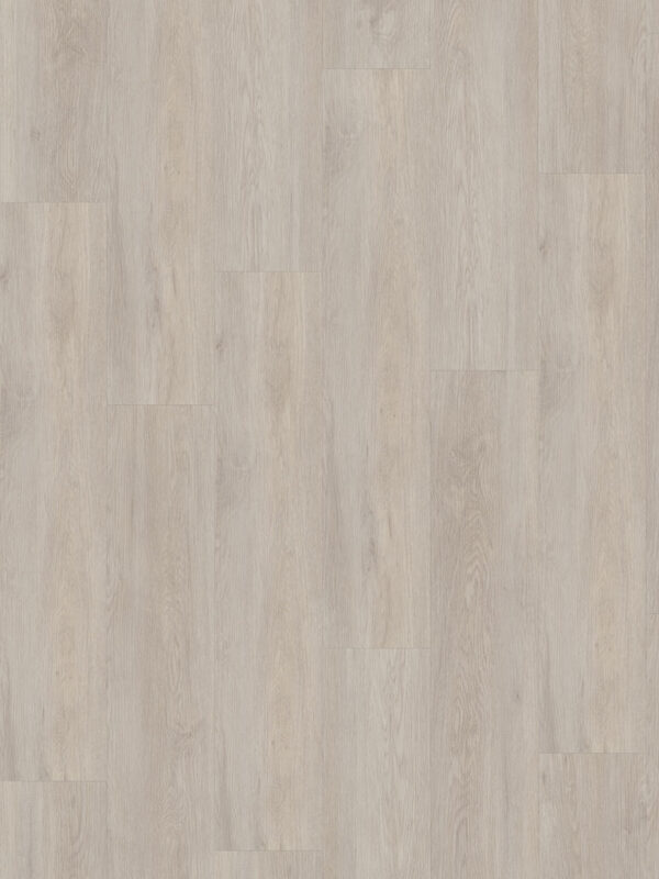 vinyl_2049_bonifaciuseiche_web_v-frontal.jpg